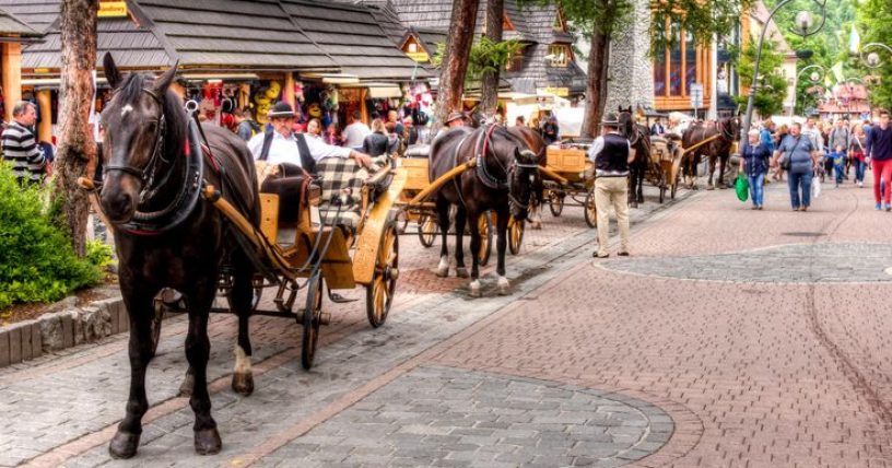 313e2518167dd92274a1b658c5f9b837