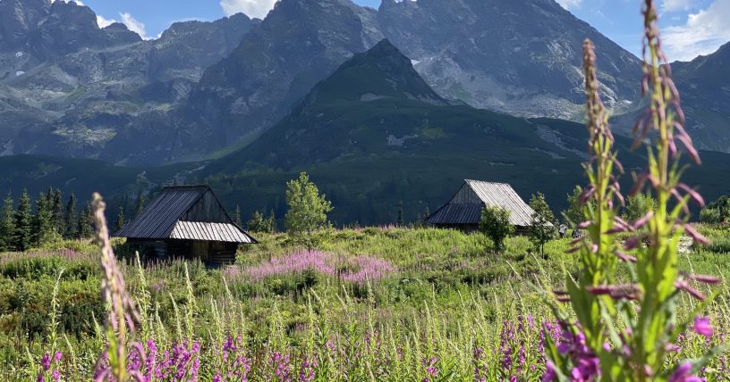 Dolina Chochołowska